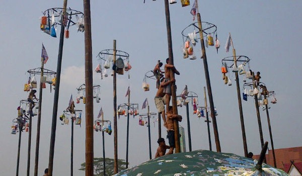 Sembilan pinang sudah berhasil dipanjat oleh para peserta dalam  waktu beberapa menit saja